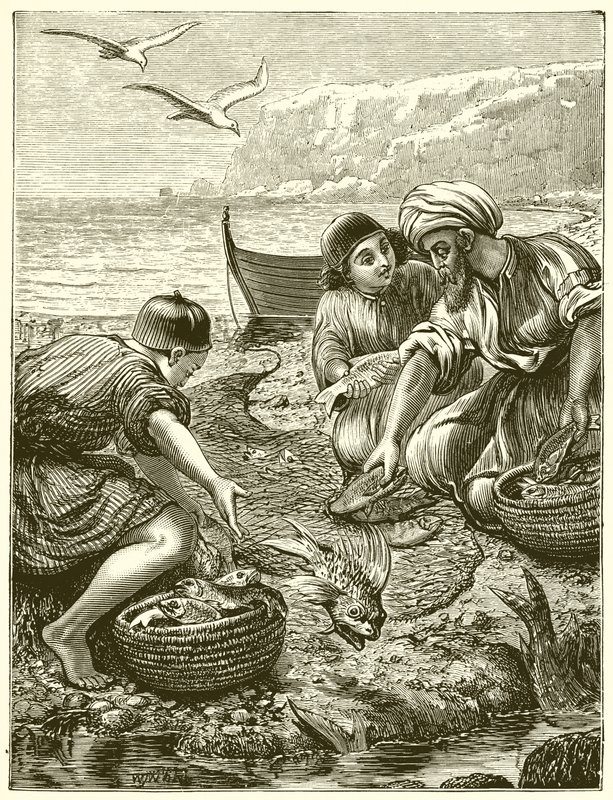 The Parable of the Net by English School