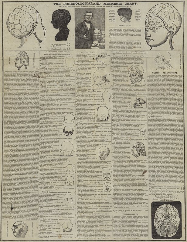 The Phrenological and Mesmeric Chart by English School