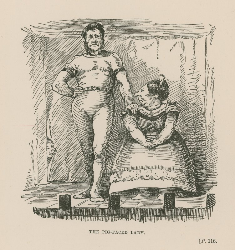 The Pig-Faced Lady by English School