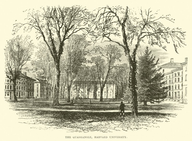 The Quadrangle, Harvard University by English School