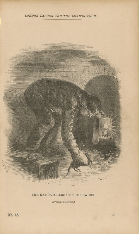 The Rat-catchers of the Sewers by English School