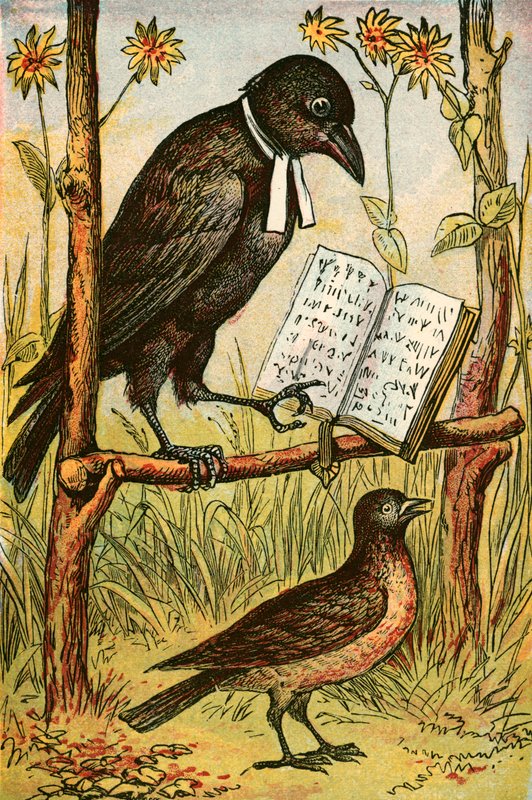 The Rook and the Lark by English School