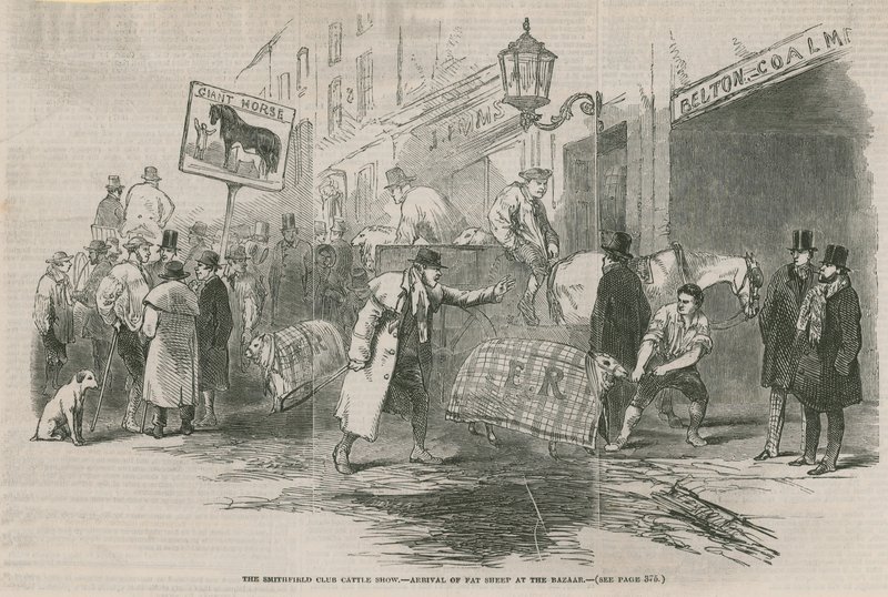 The Smithfield Club Cattle Show by English School