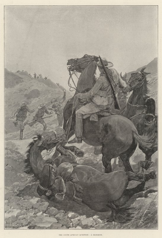 The South African Question, a Skirmish by English School