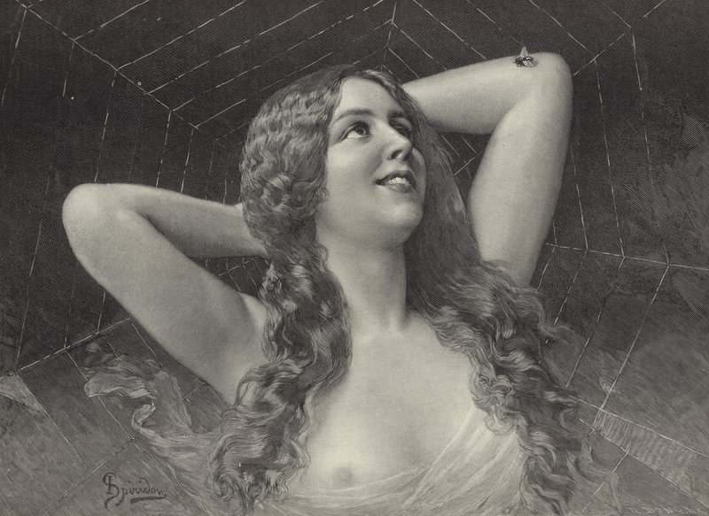 The Spider by English School