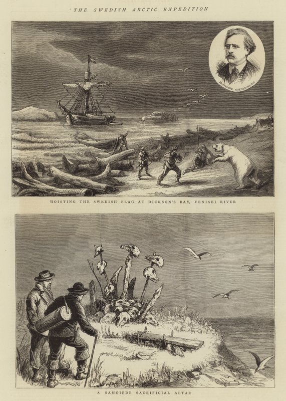 The Swedish Arctic Expedition by English School