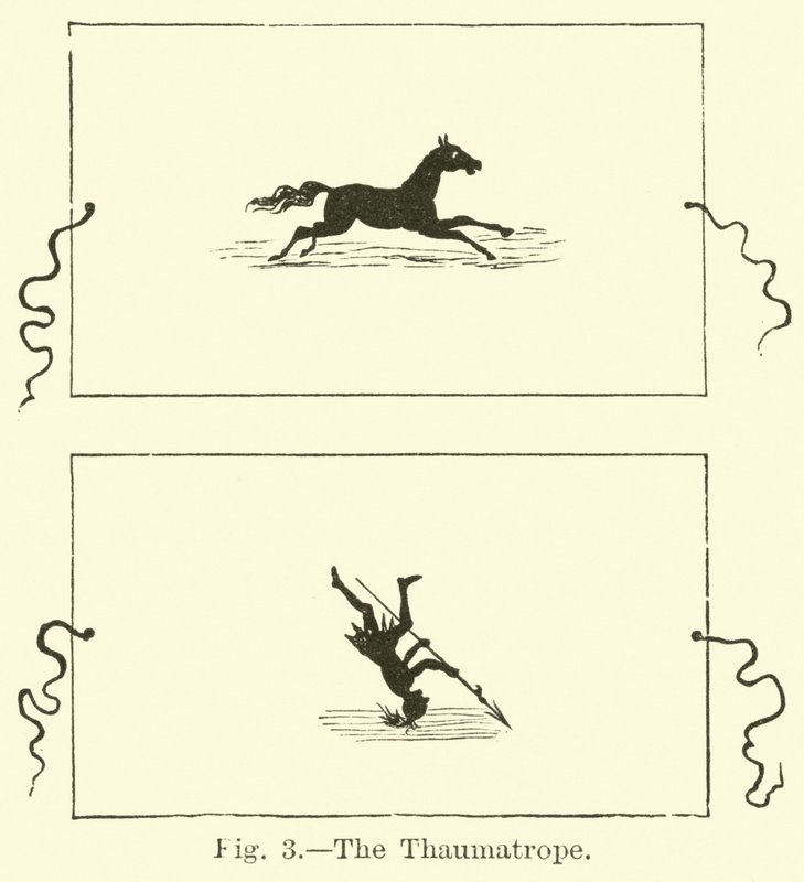 The Thaumatrope by English School