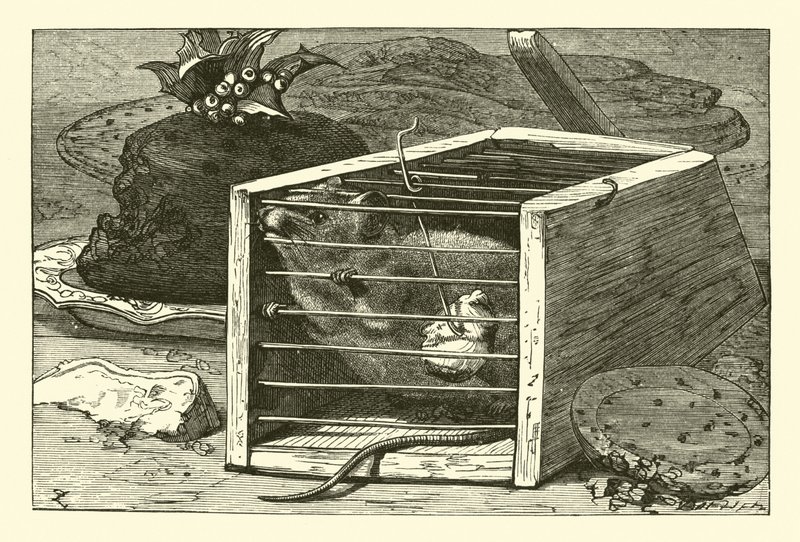 The Thievish Mouse by English School