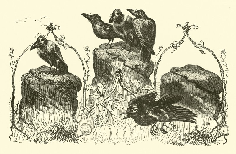 The Three Crows by English School