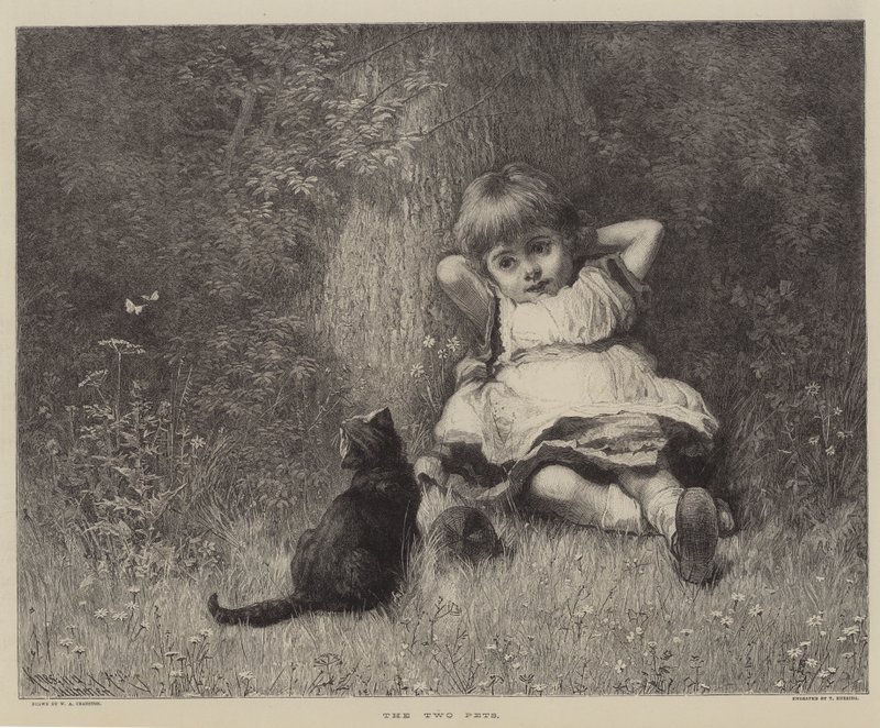The Two Pets by English School