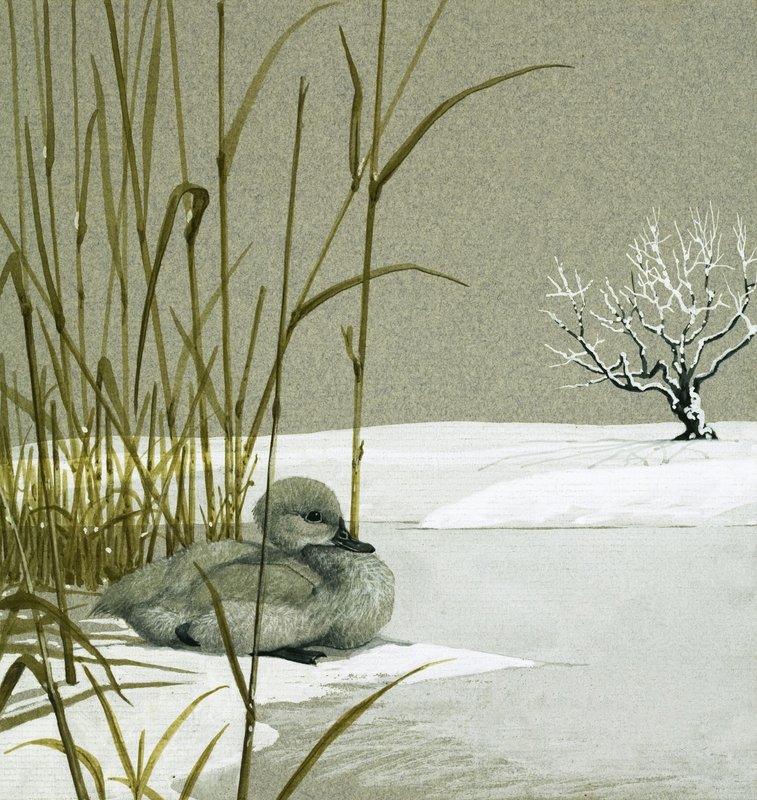 The Ugly Duckling by English School