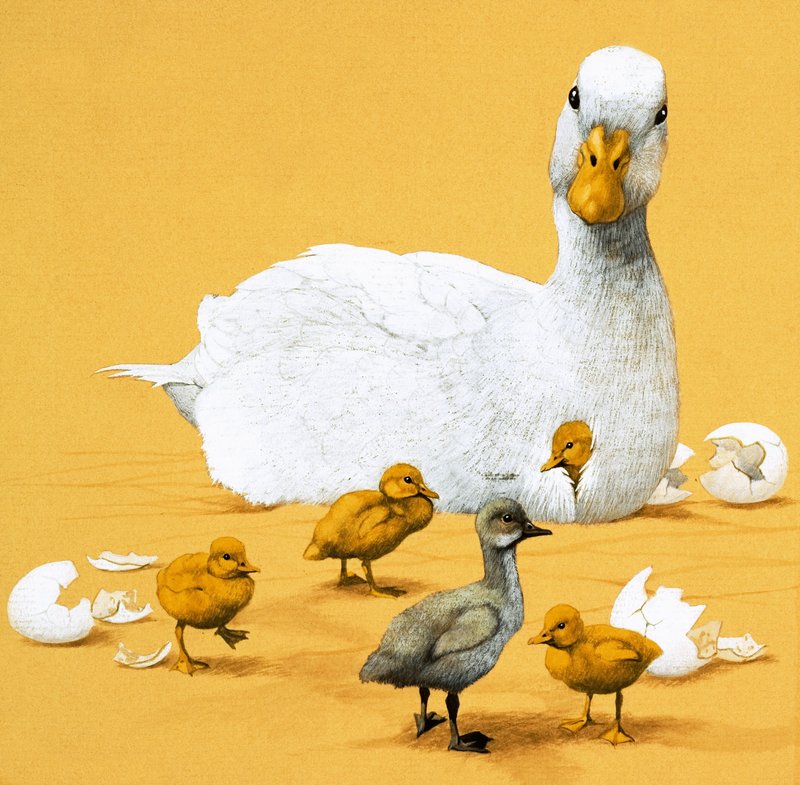 The Ugly Duckling by English School