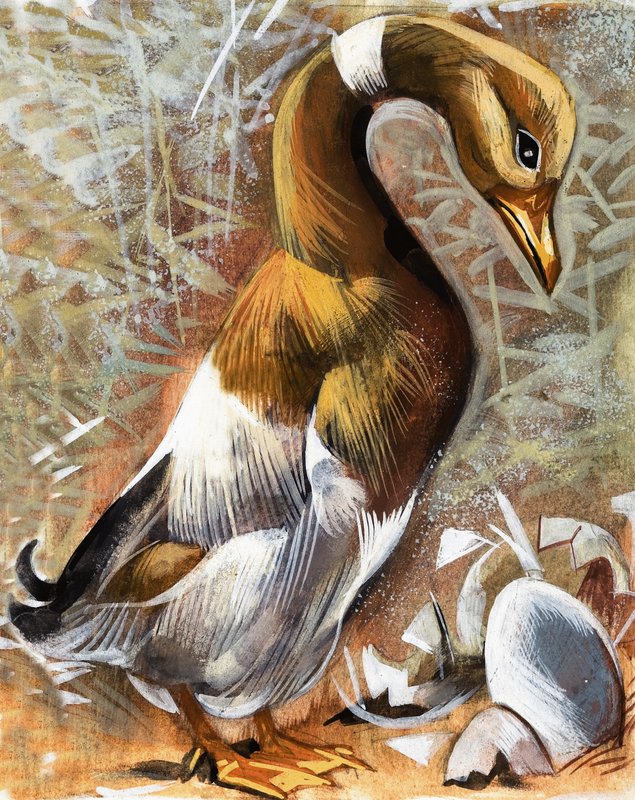 The Ugly Duckling by English School