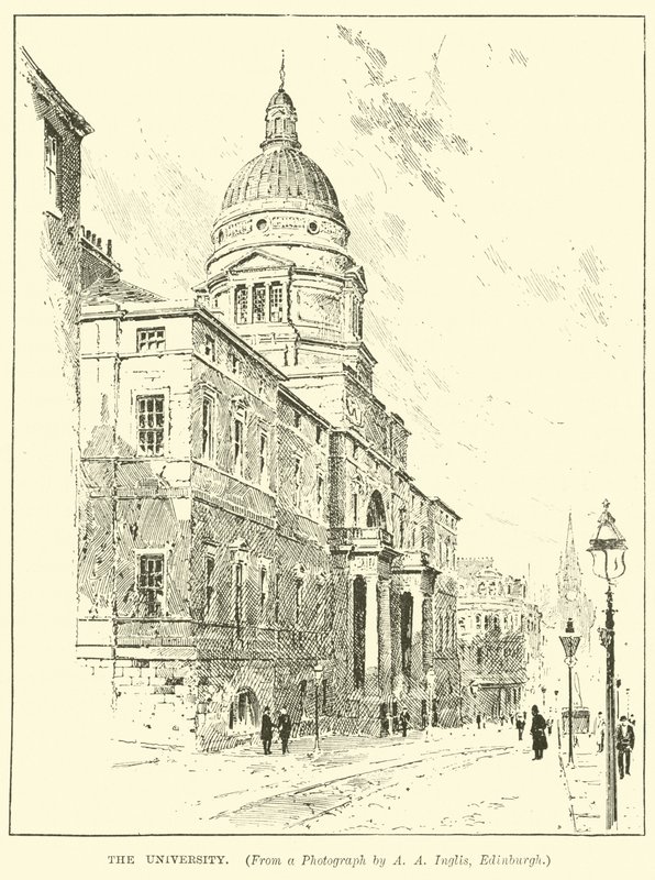 The University by English School