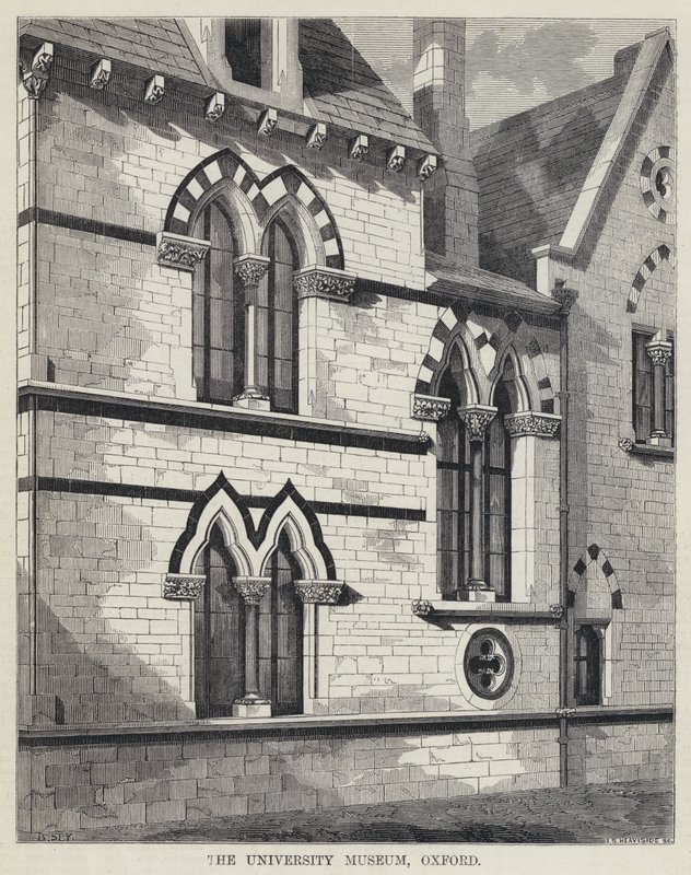 The University Museum, Oxford by English School