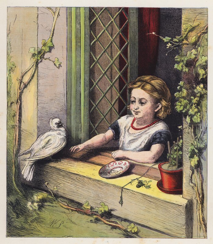 The White Dove by English School