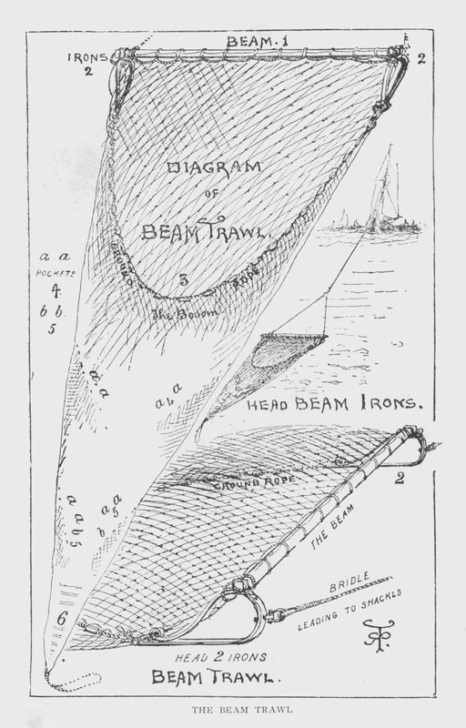 The beam trawl by English School