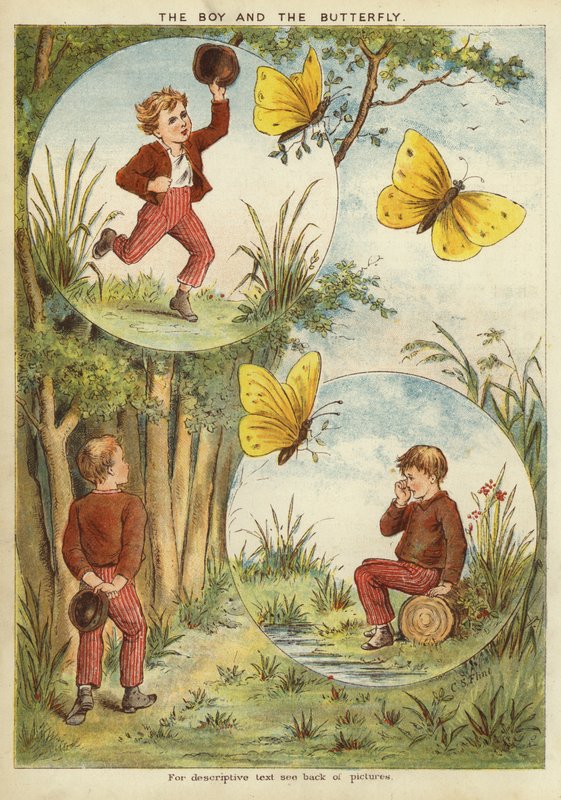 The Boy and the Butterfly by English School