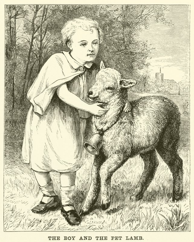 The Boy and the Pet Lamb by English School