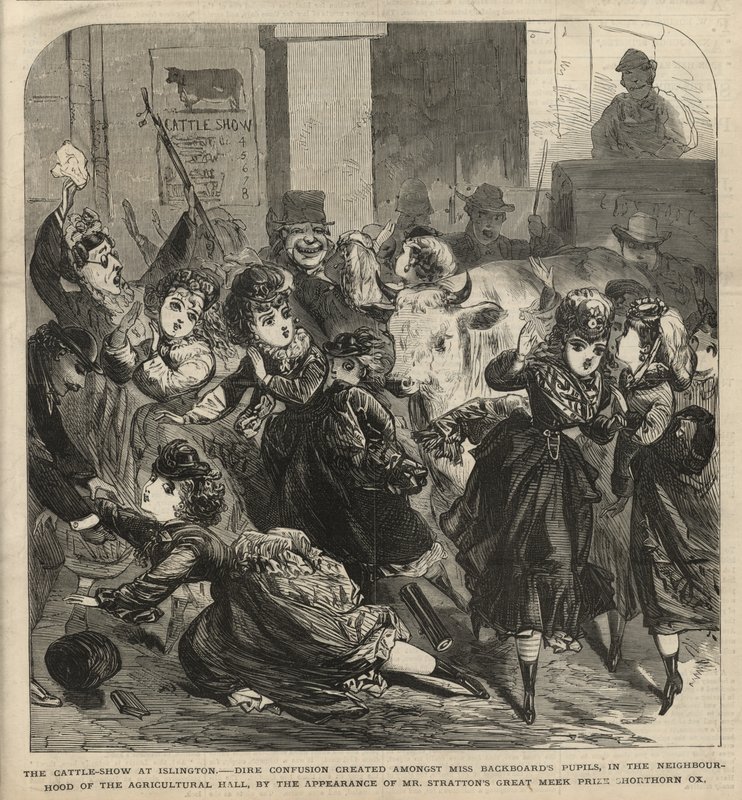 The Cattle Show at Islington by English School