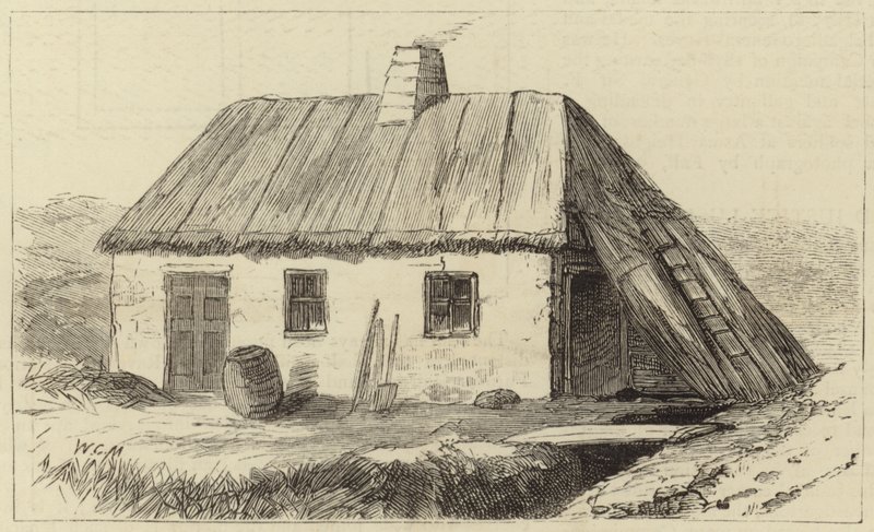 The Condition of Ireland by English School