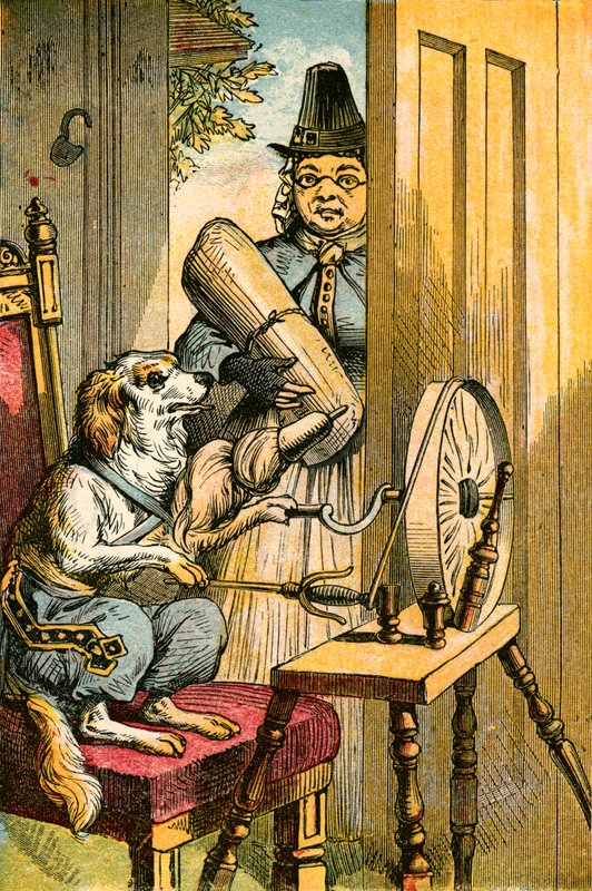 The Dog Spinning by English School