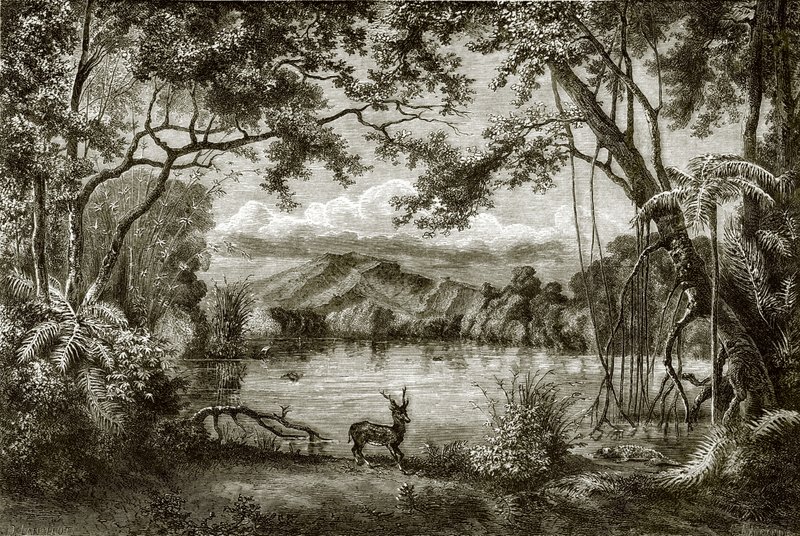 The Enchanted Lake in the Philippine Island by English School