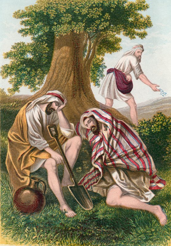 The enemy sowing tares by English School