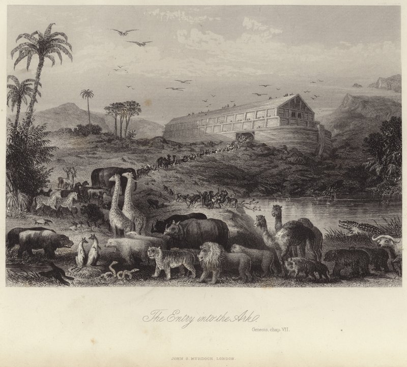 The Entry into the Ark by English School
