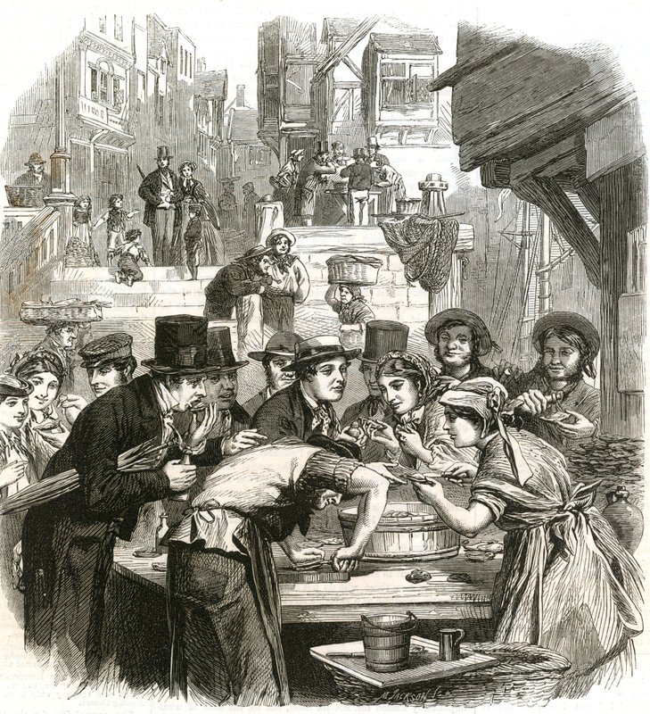 The First Day of Oysters by English School