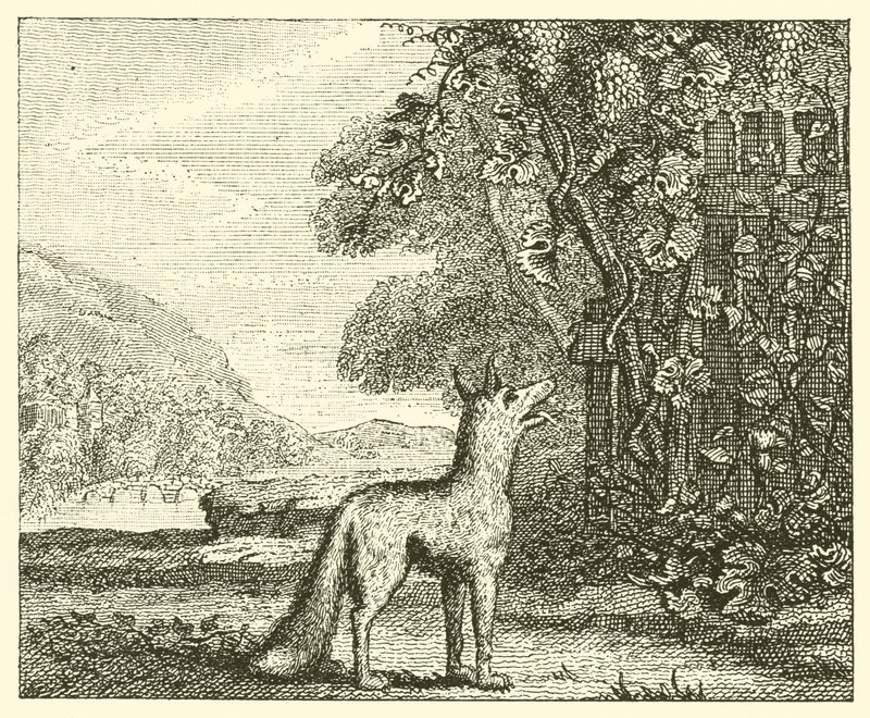 The Fox and the Grapes by English School