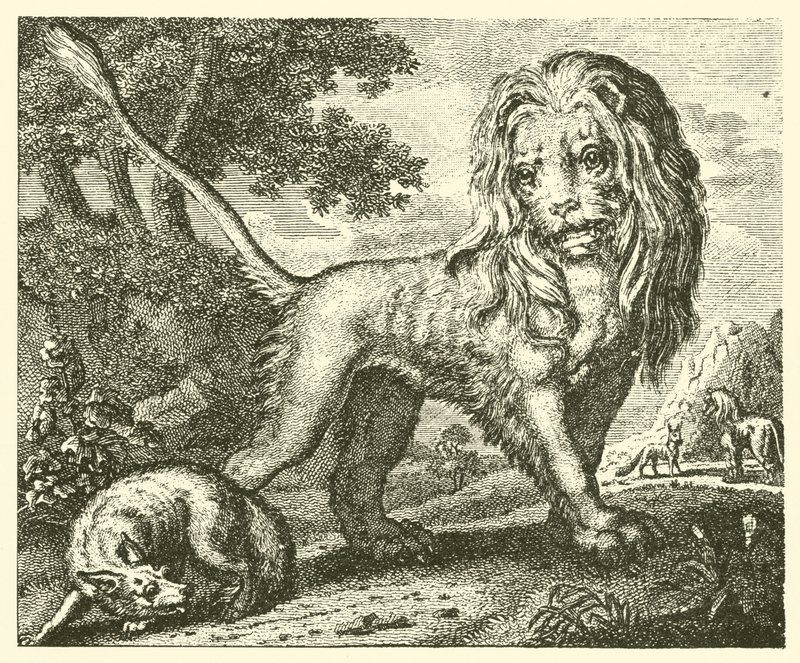 The fox and the lion by English School