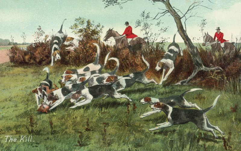 The Fox Hunt by English School