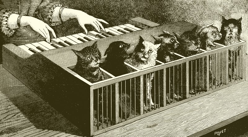The piano of cats by English School