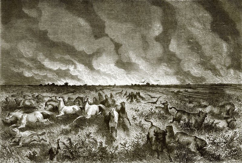 The Prairie on Fire by English School