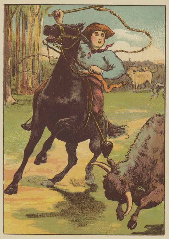 The Stockade by English School