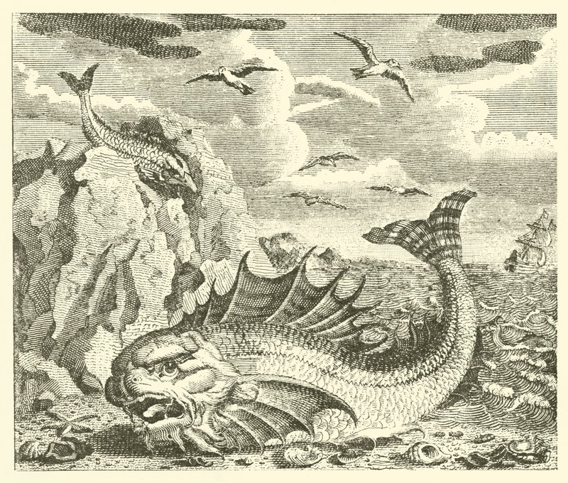 The Tunny and the Dolphin by English School