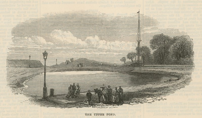 The upper pond, Hampstead Heath by English School