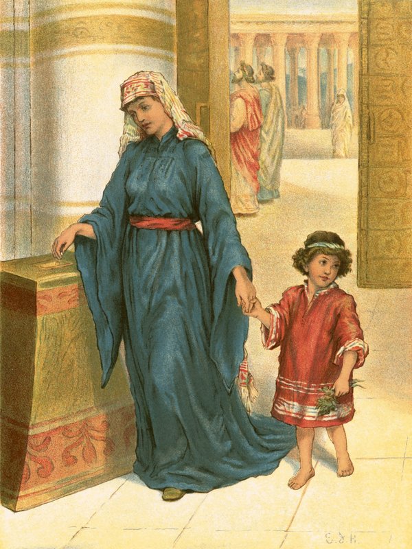 The Widow