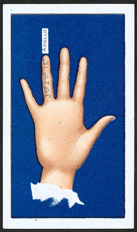 Third Finger by English School
