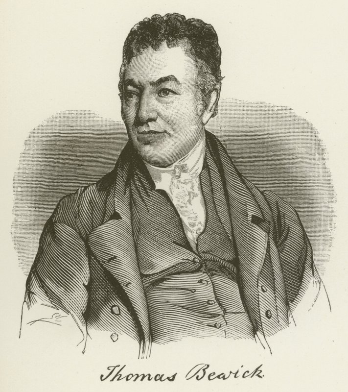 Thomas Bewick by English School