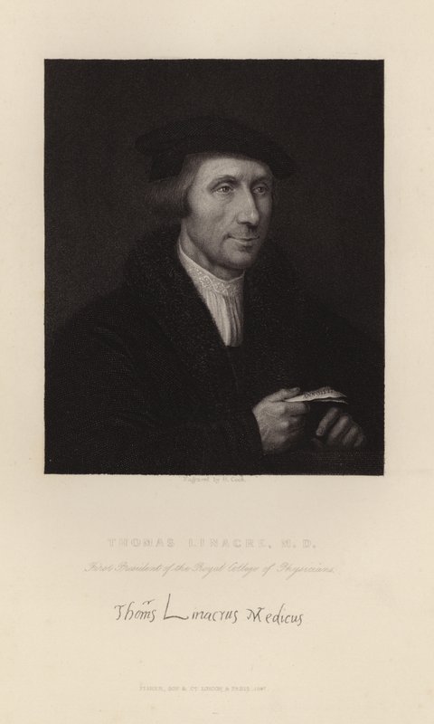 Thomas Linacre by English School