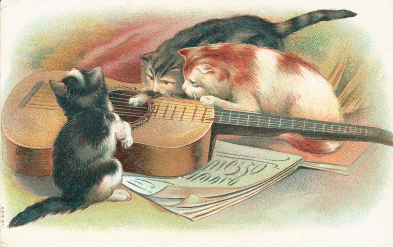 Three Cats Playing with an Acoustic Guitar by English School