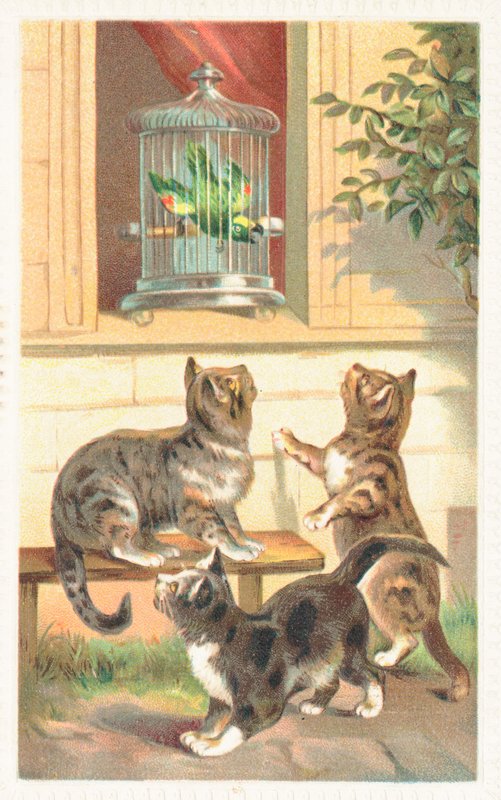 Three Cats Sitting Below a Window by English School