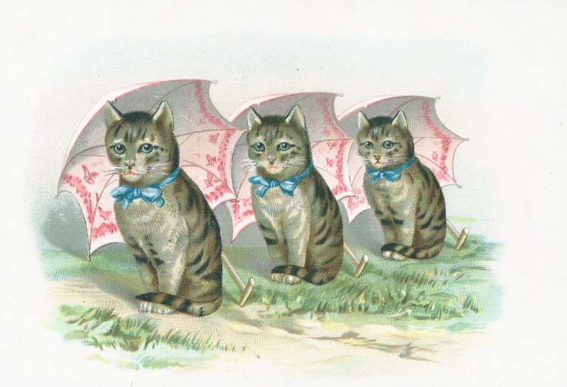 Three Cats Sitting in a Line by English School
