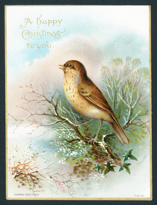 Thrush by English School