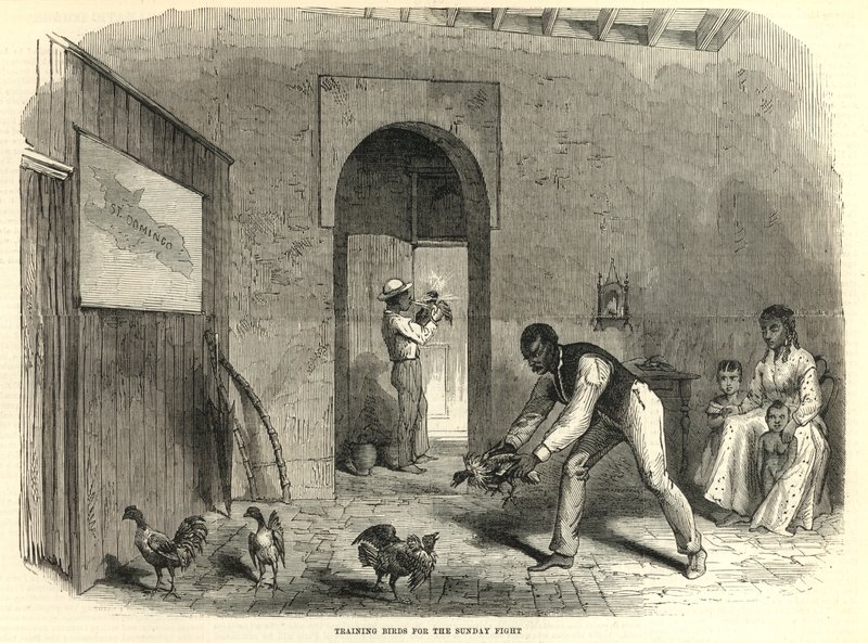Training birds for the Sunday fight by English School