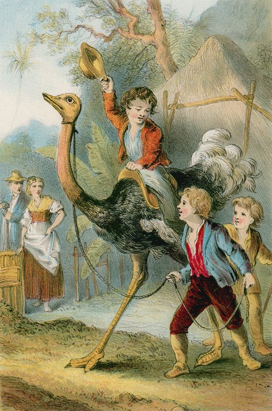 Training the Ostrich by English School