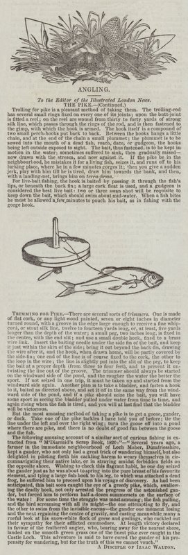 Trimming for Pike by English School