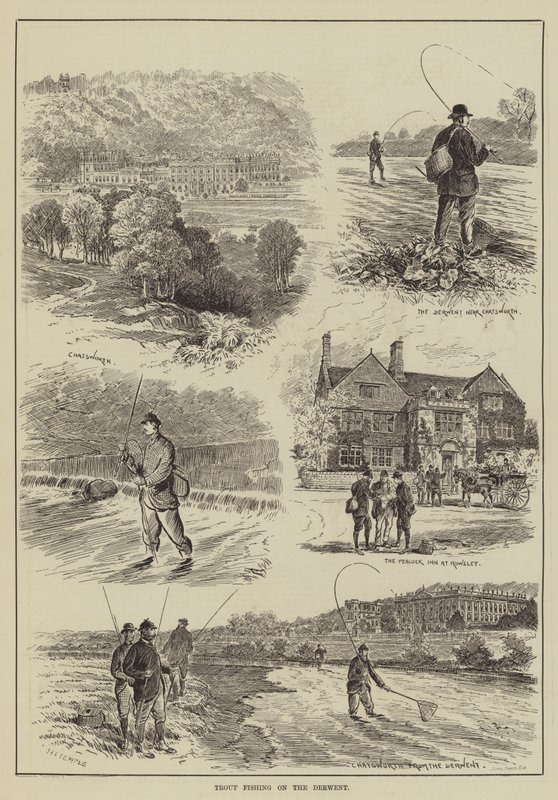 Trout Fishing on the Derwent by English School